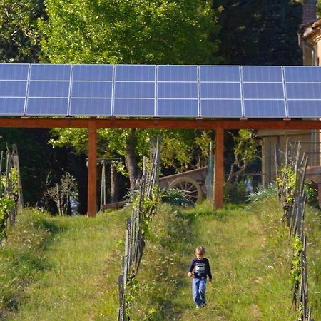 Agriturismo Le Volpaie Villa San Gimignano Kültér fotó